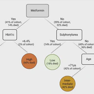 Metformin use is associated with lower mortality from bacterial sepsis and improved immunocompetence in Thai diabetes patients with acute melioidosis