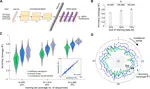 Accuracy and data efficiency in deep learning models of protein expression