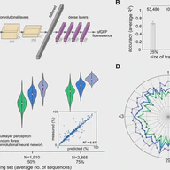 Accuracy and data efficiency in deep learning models of protein expression